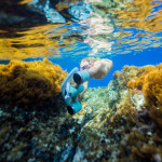 Sublue Underwater Scooter Mix