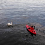 Seaflo Sit-in Kayak with paddle - Red