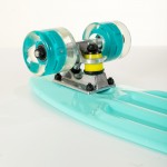 Πλαστικό mini cruiser skateboard 22.5'' Βεραμάν με LED ρόδες Fish