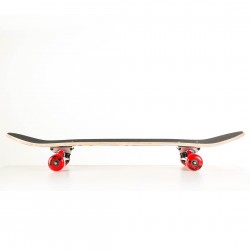 Skateboard 31'' Street